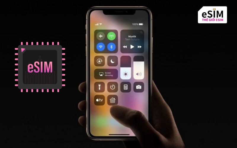 Kiểm tra mục Di động trên iPhone để xác nhận gói cước và cột sóng đã hiển thị.